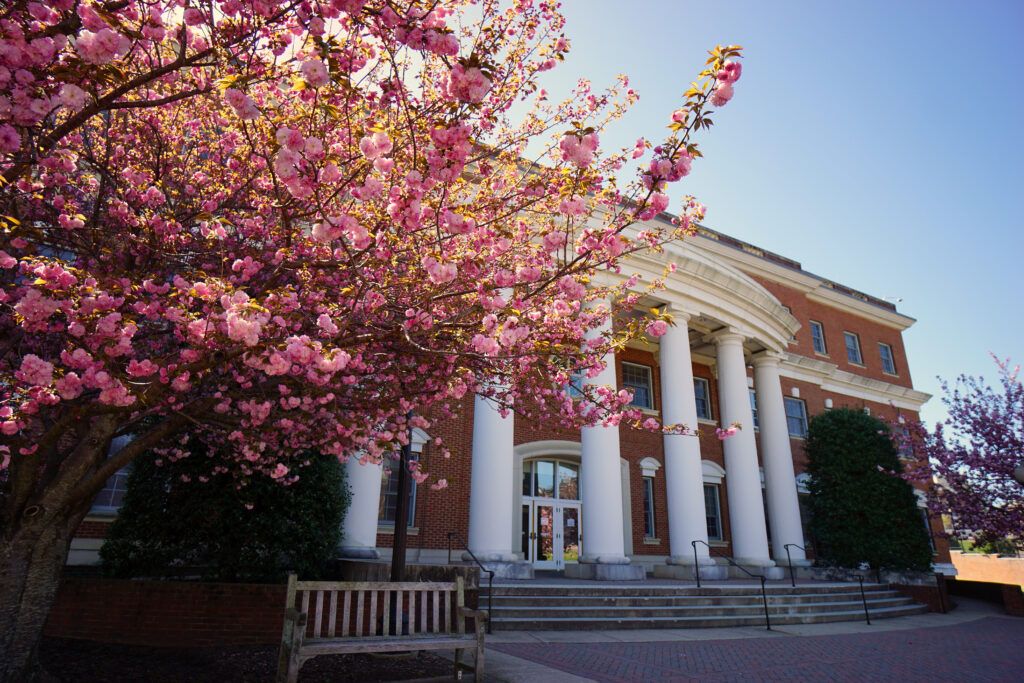 The front of UMW’s Jepson Science Center with large white columns and a blooming pink cherry tree.