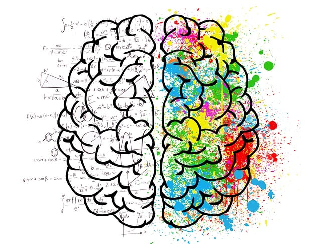 Illustration of right and left brain theory — left brain is black and white with math formulas and molecule diagrams while right brain is splattered with rainbow colors across the hemisphere.